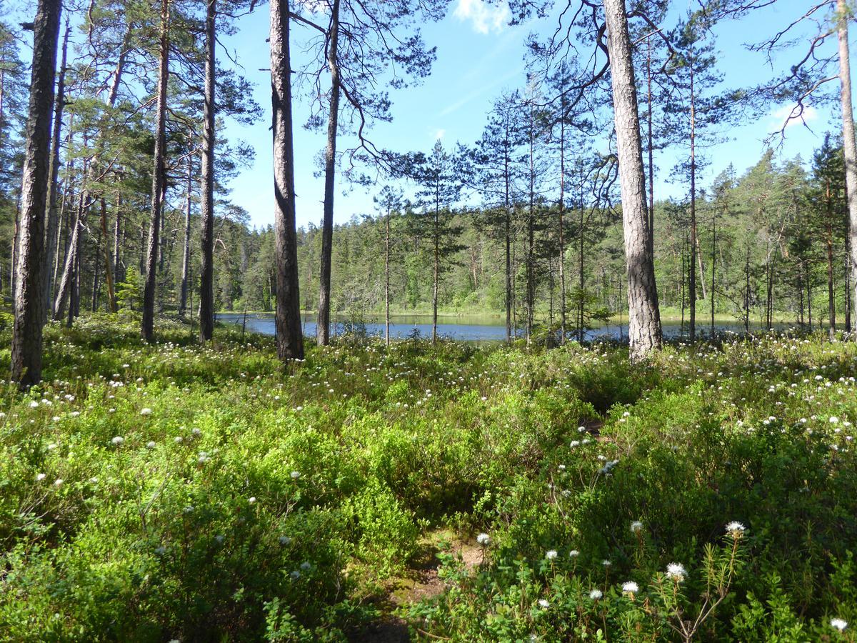 Ydrefors Bed & Breakfast Екстериор снимка
